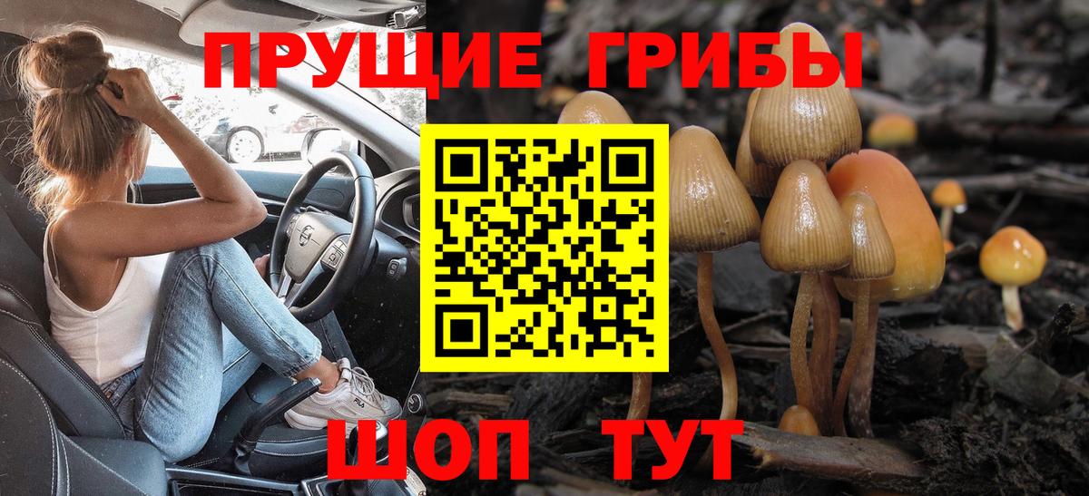 Феодосия  Псилоцибиновые грибы Cubensis  Псилоцибиновые грибы Cubensis  Вход с VPN 